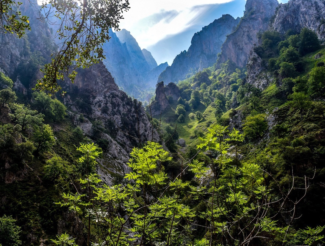 PICOS DE EUROPA